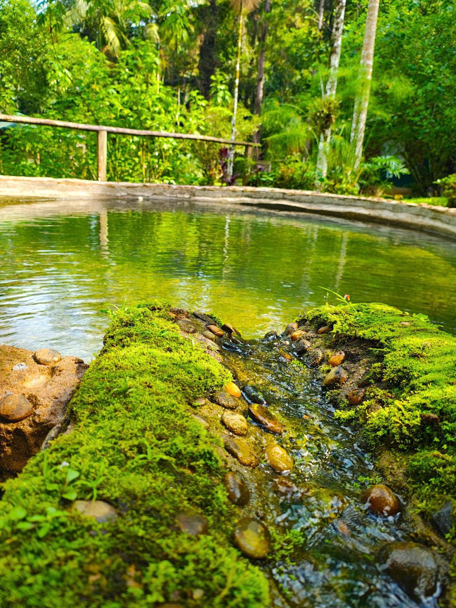 Pousada Romantica Serra Da Mata Penedo  Exterior foto